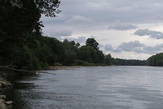 Buhne bei Niedrigwasser ca. 1km Flussaufwärts (bergwärts) ab SCNB Hafen